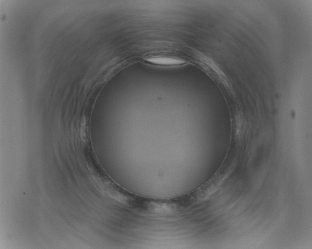 X0000075870073200610062013