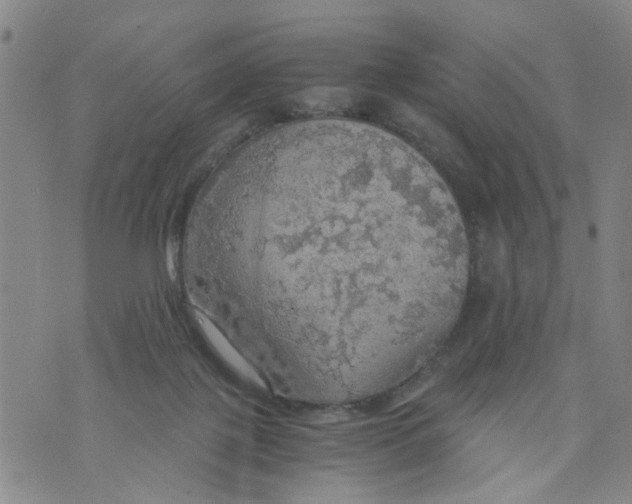 X0000075870075200610062013