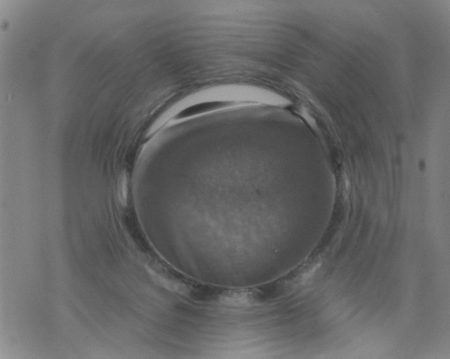 X0000075870076200610062013