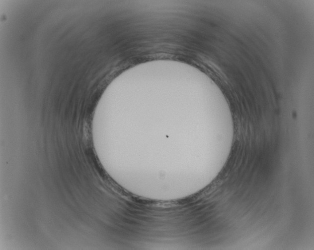 X0000075870077200610062013