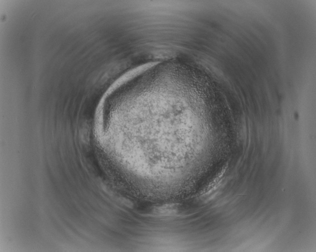 X0000075870078200610062013