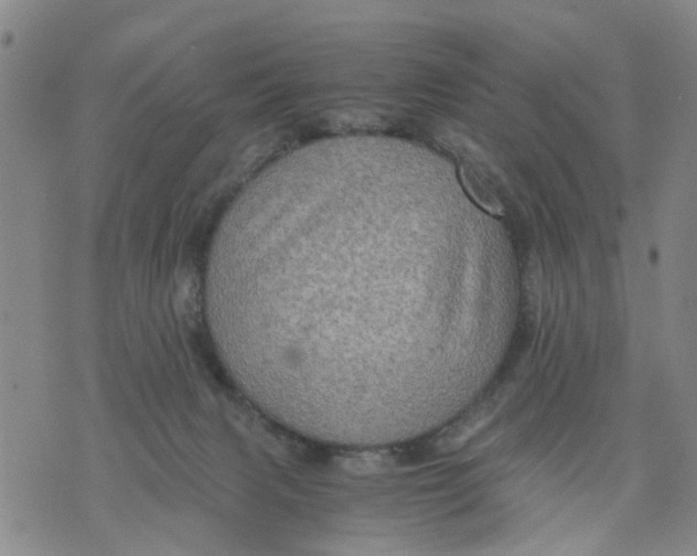 X0000075870079200610062013