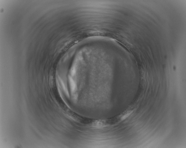 X0000075870080200610062013