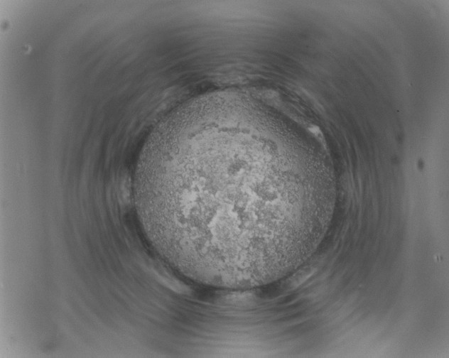 X0000075870081200610062013