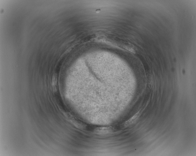 X0000075870082200610062013