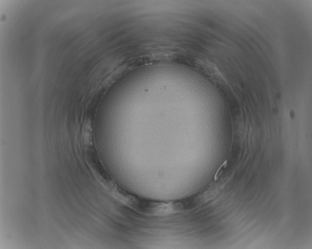 X0000075870083200610062013