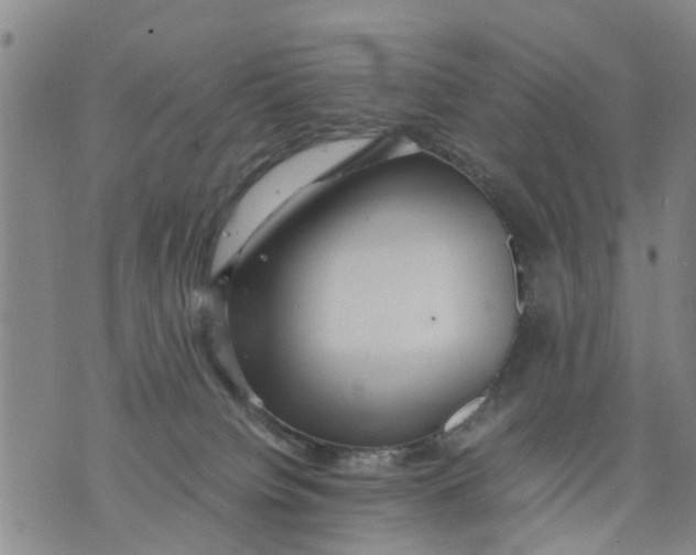 X0000075870084200610062013