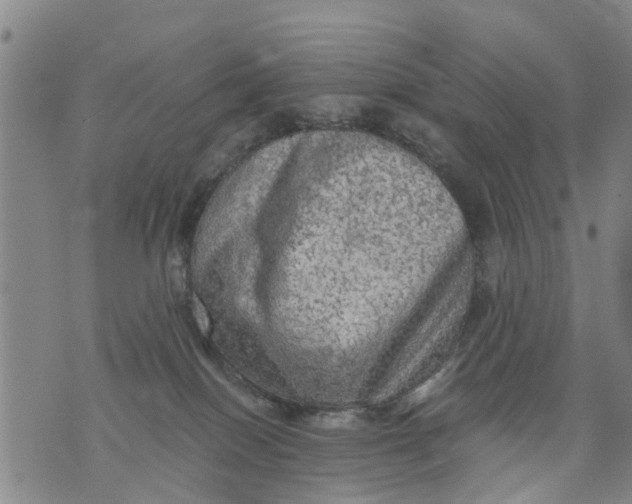 X0000075870086200610062013