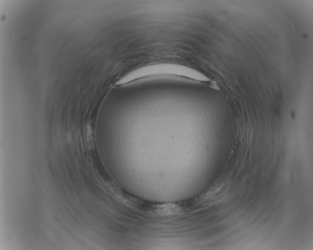 X0000075870087200610062013