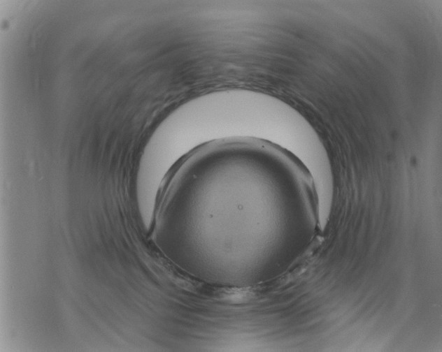 X0000075870088200610062013