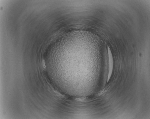 X0000075870089200610062013