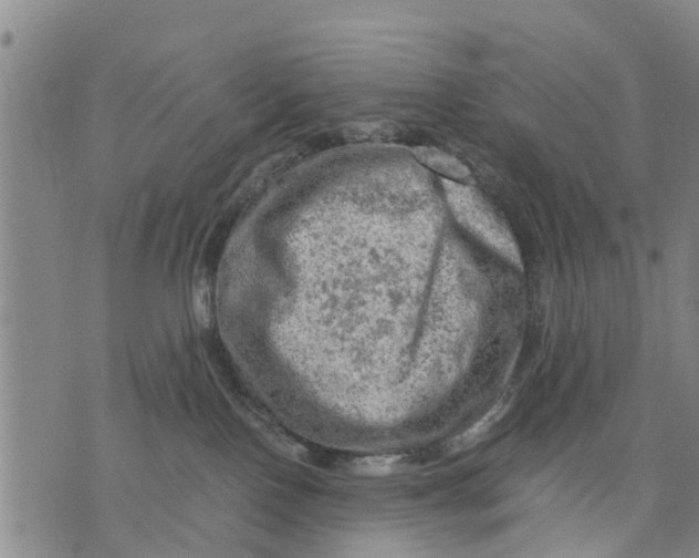 X0000075870090200610062013