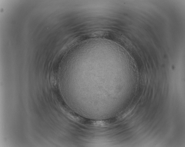 X0000075870091200610062013