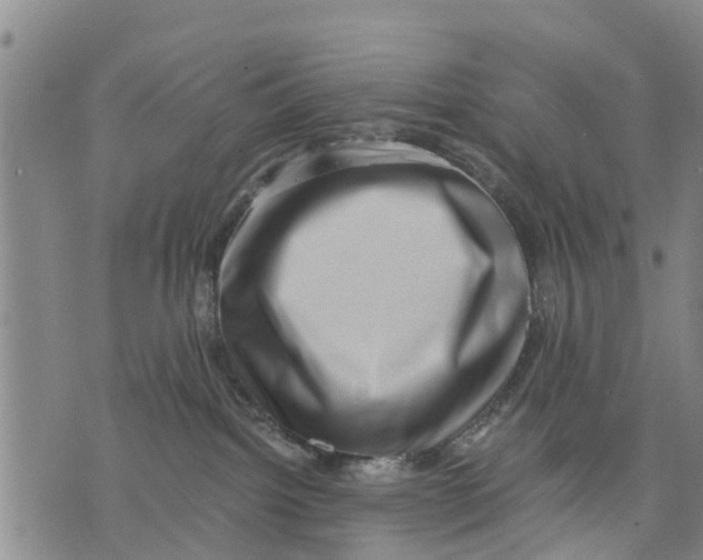 X0000075870092200610062013