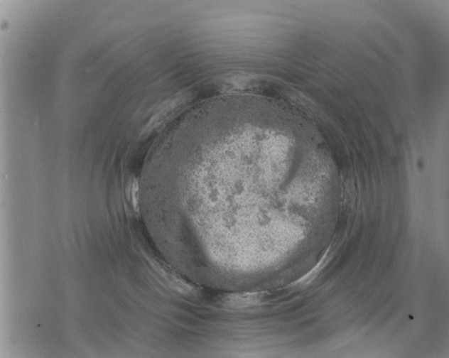 X0000075870094200610062013