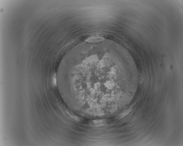 X0000075870095200610062013