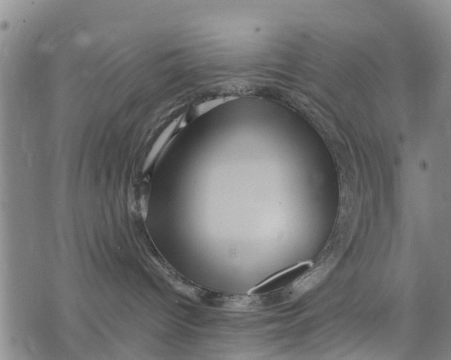 X0000075870096200610062013