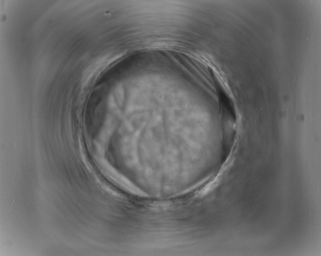 X0000075870097200610062013