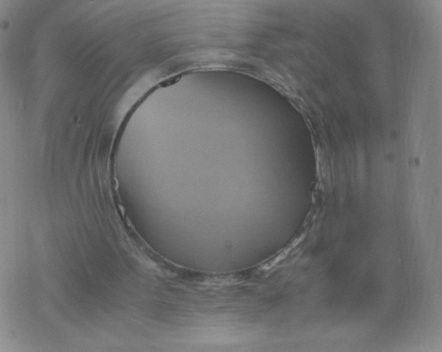 X0000075870099200610062013