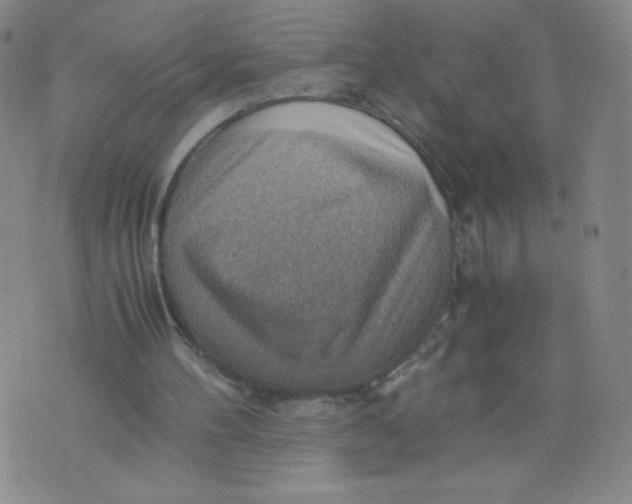 X0000075870100200610062013