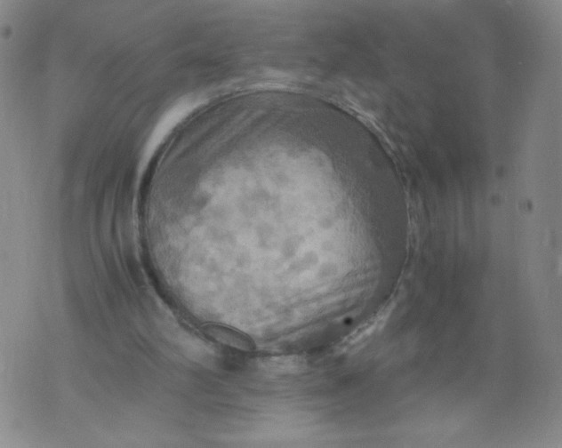 X0000075870102200610062013