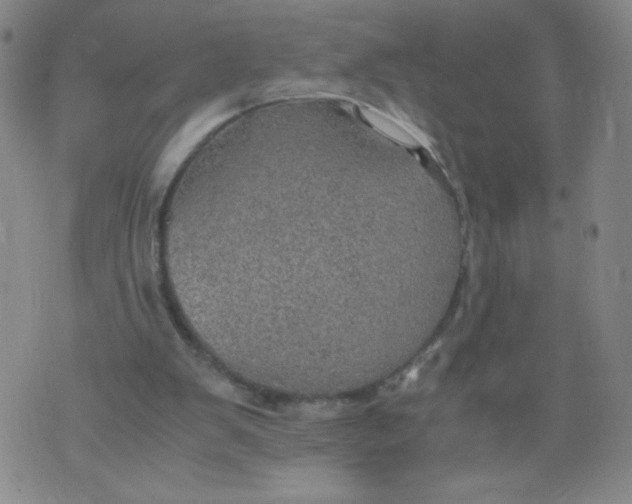 X0000075870103200610062013