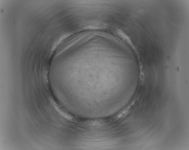 X0000075870106200610062012