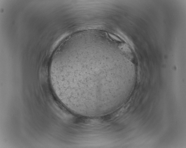 X0000075870107200610062012