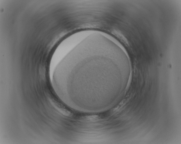 X0000075870108200610062012