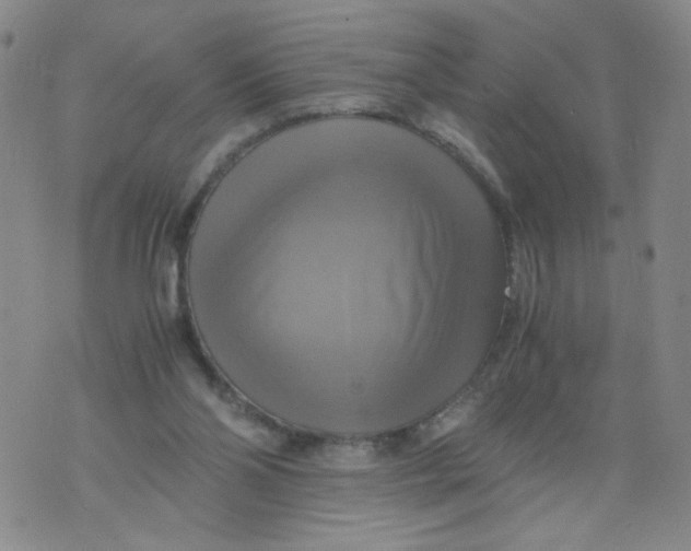 X0000075870110200610062012