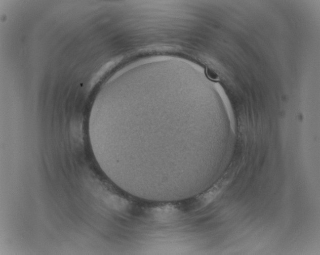 X0000075870112200610062012