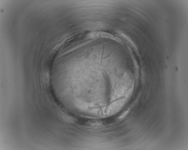 X0000075870113200610062012