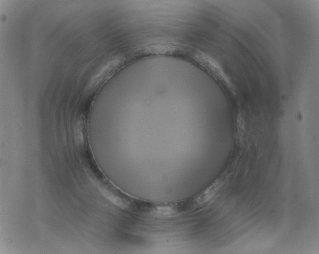 X0000075870114200610062012