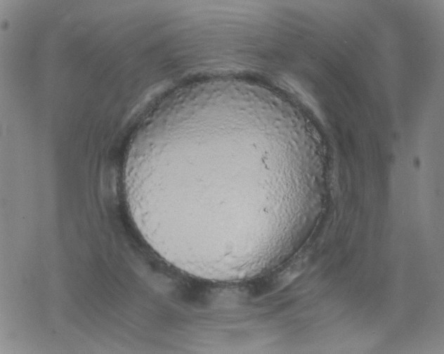 X0000075870115200610062012