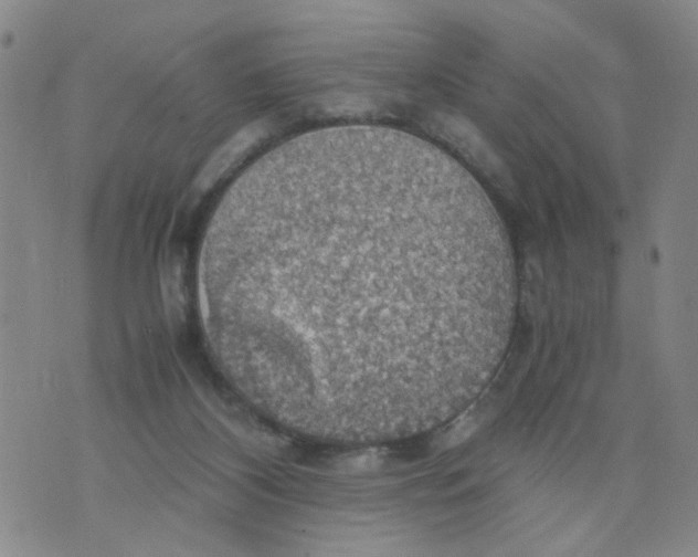 X0000075870116200610062012