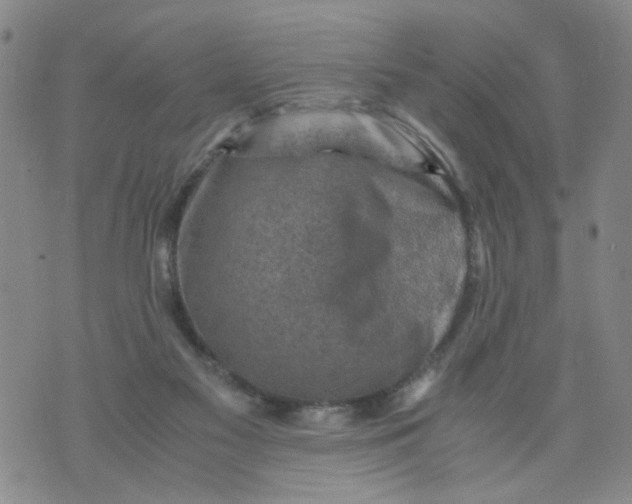 X0000075870117200610062012