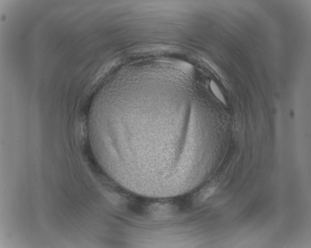 X0000075870119200610062012