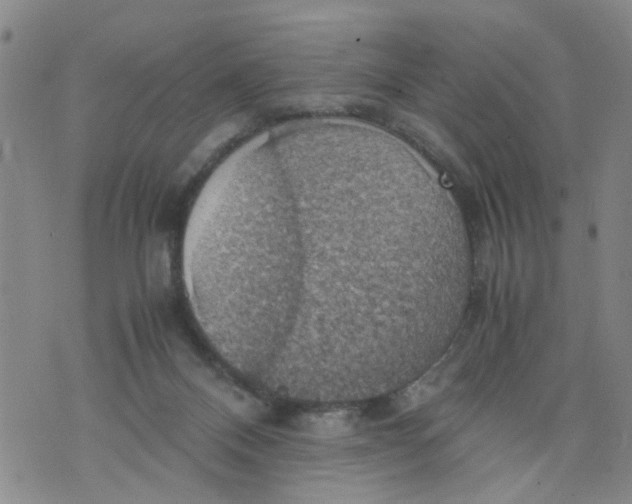 X0000075870120200610062012