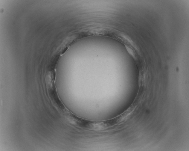 X0000075870121200610062012