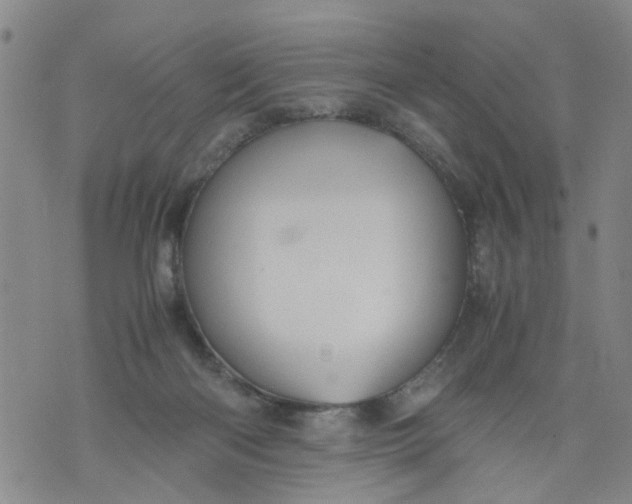 X0000075870122200610062012