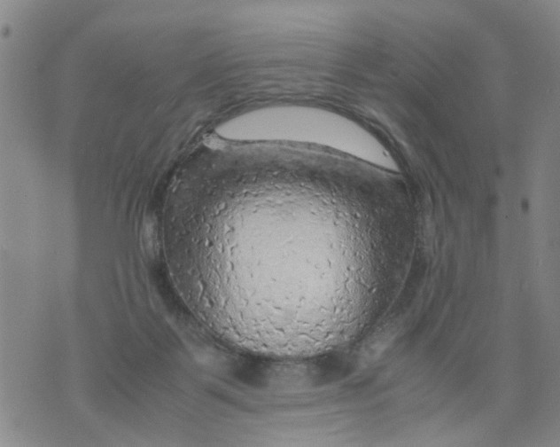 X0000075870123200610062012