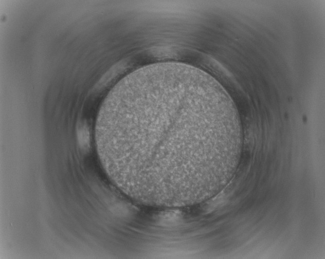 X0000075870124200610062012