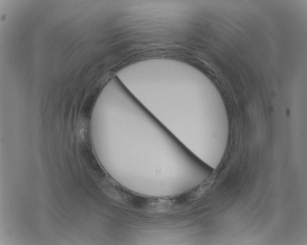 X0000075870125200610062012