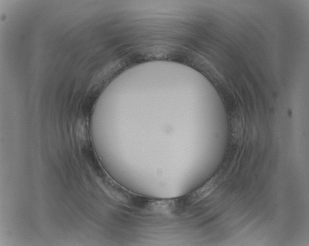 X0000075870126200610062012