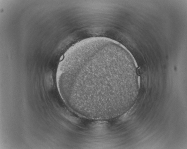 X0000075870128200610062012