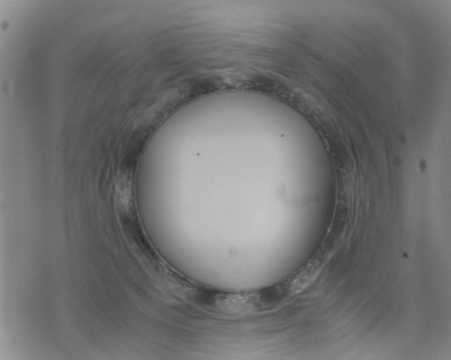 X0000075870129200610062012