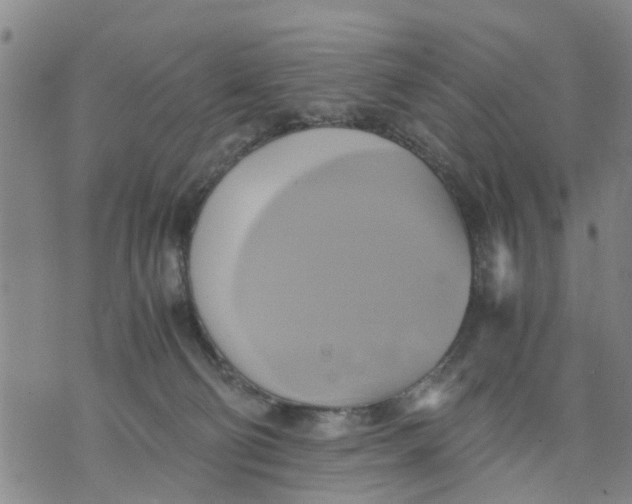 X0000075870130200610062012