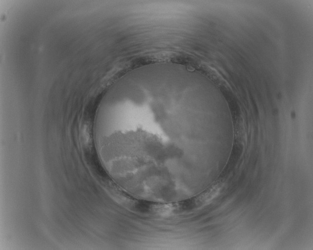 X0000075870131200610062012