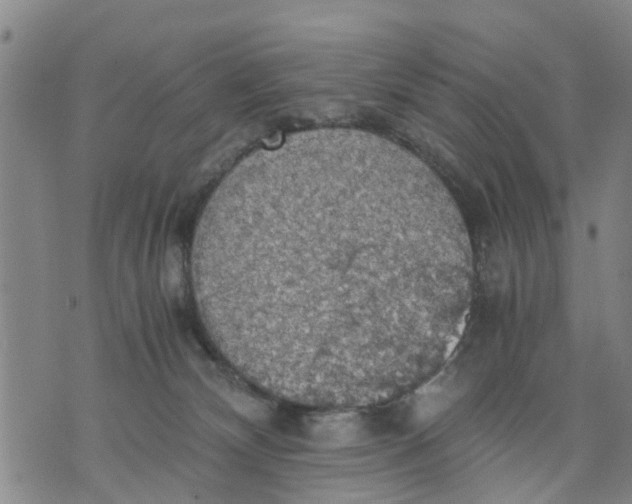 X0000075870132200610062012