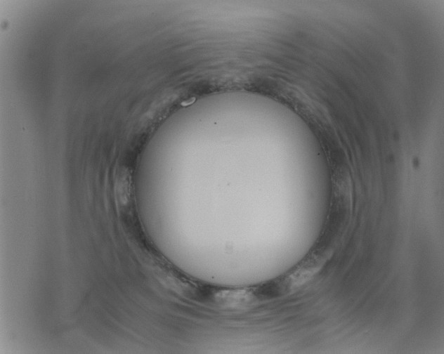 X0000075870133200610062012